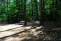 White Lake State Park Campground 1 016