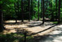 White Lake State Park Campground 1 025