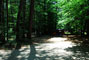 White Lake State Park Campground 1 053