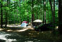 White Lake State Park Campground 1 061