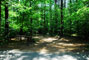 White Lake State Park Campground 1 075A