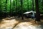 White Lake State Park Campground 2 036