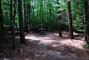 White Lake State Park Campground 3 006
