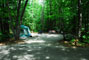 White Lake State Park Campground 3 014