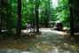 White Lake State Park Campground 3 017