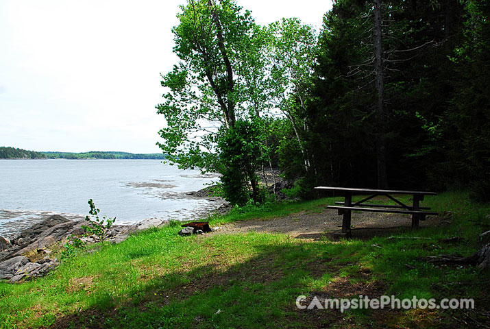 Cobscook Bay State Park 041
