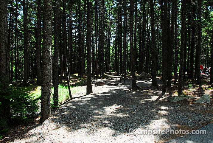 Acadia National Park Blackwoods A024