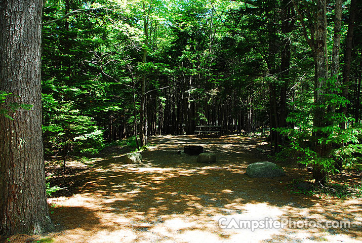 Acadia National Park Blackwoods B048