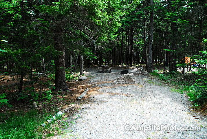 Acadia National Park Blackwoods B101