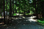 Acadia National Park Blackwoods A013