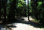 Acadia National Park Blackwoods A133