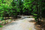 Acadia National Park Blackwoods B089