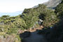 Julia Pfeiffer Burns State Park Camping Area North View 2