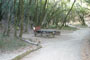 China Camp State Park 010