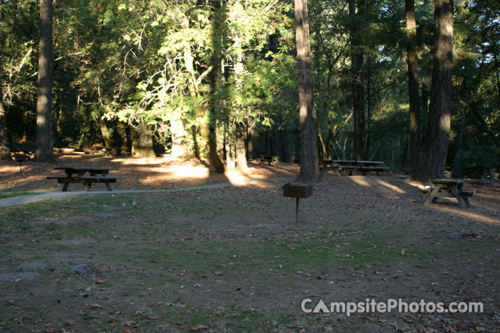 Bothe-Napa Valley State Park Picnic Area 1