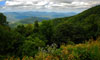 Blue Ridge Parkway View 1