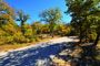 Lake Mineral Wells State Park 043