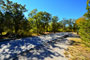 Lake Mineral Wells State Park 047