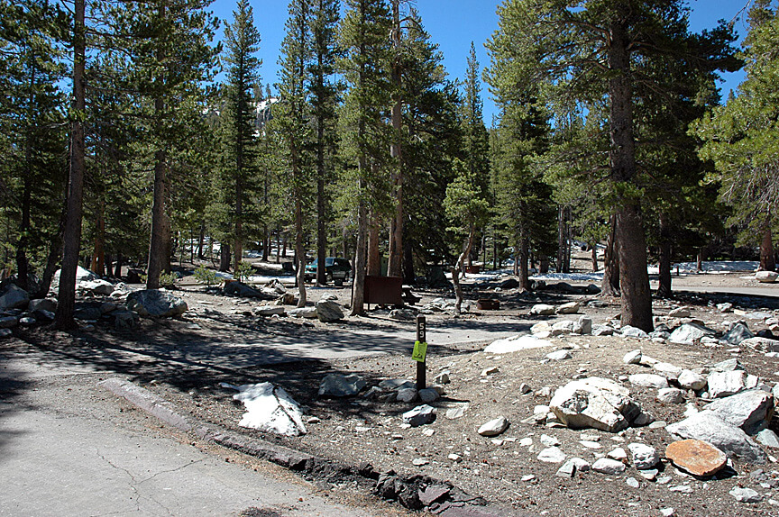 The Best Mammoth Lakes Area Campgrounds Coldwater Campsite 59