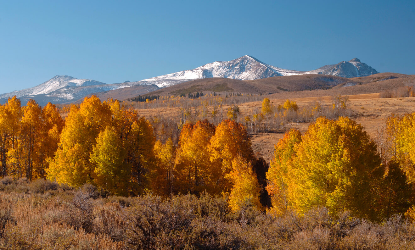 The best campgrounds near Bridgeport - Fall Colors