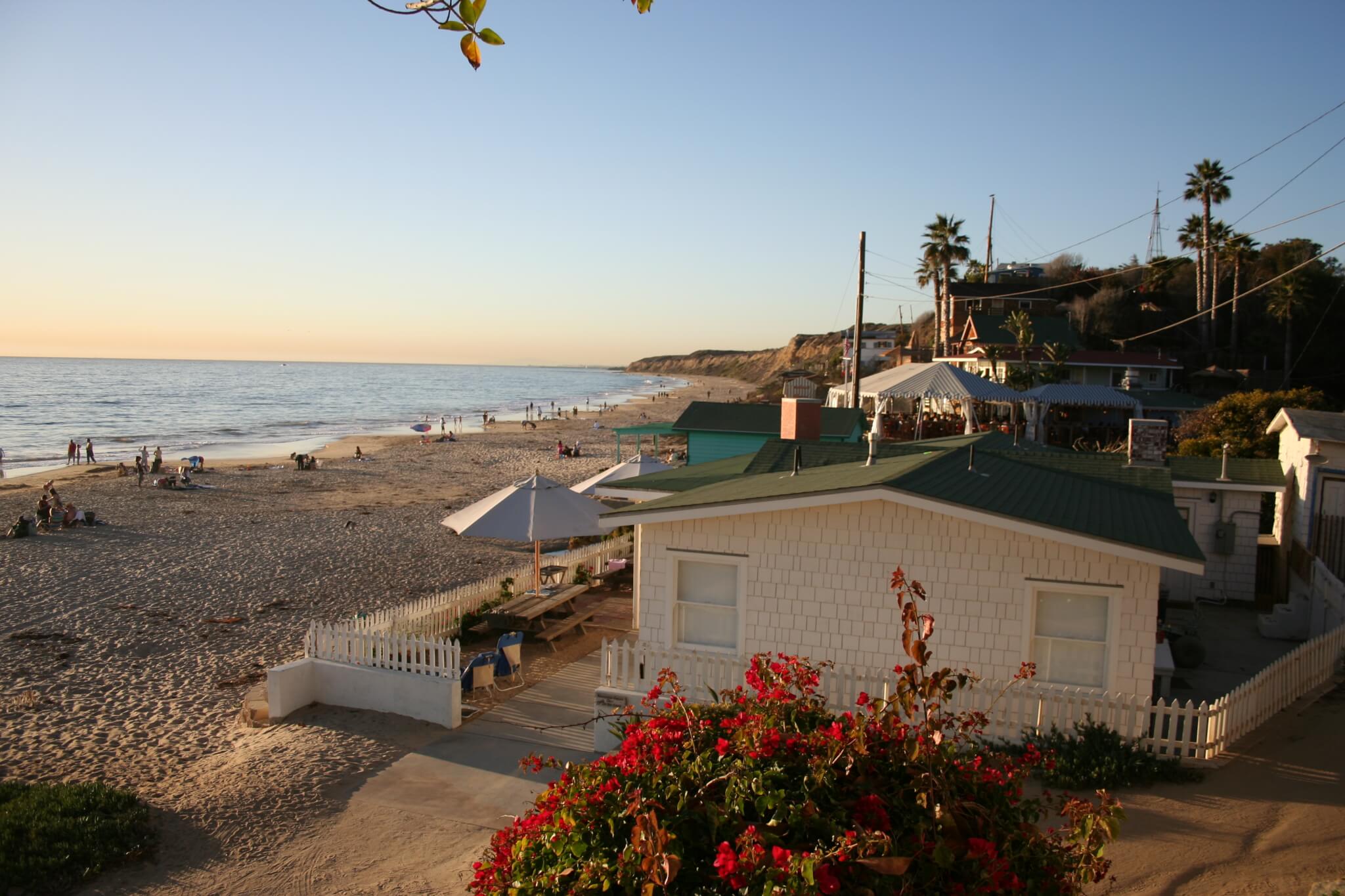 It's a whale of a tail - crystal cove cottages