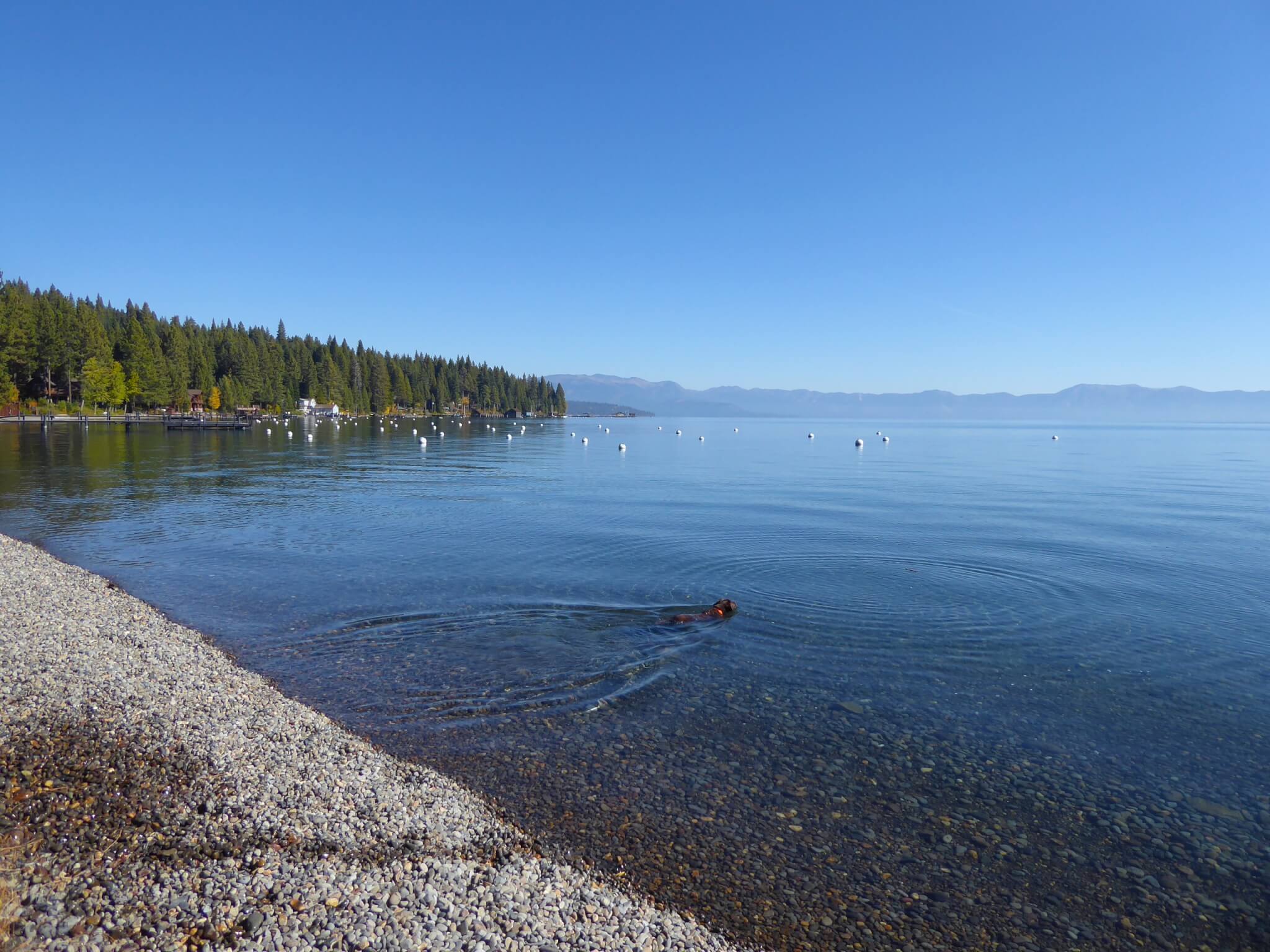 Lake Tahoe's Best Campsites - Kent Beach